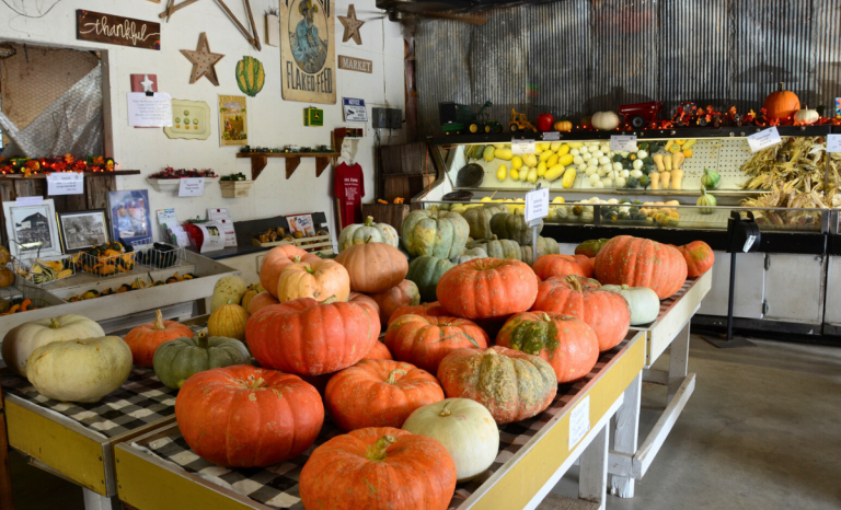 Prep for Fall with Get Seen Virtually™ Interior Tours