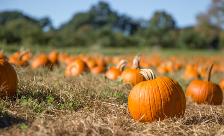 Simplify Fall Hiring with CloseBy®