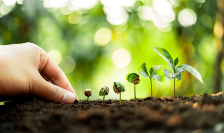 CEO’s Corner – June 2026